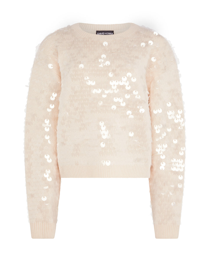 SEQUIN EMBROIDERY KNIT JUMPER