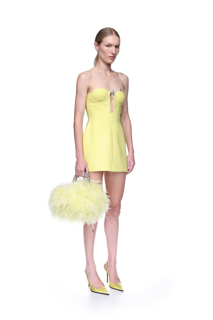 CRYSTAL SWALLOW MINI DRESS