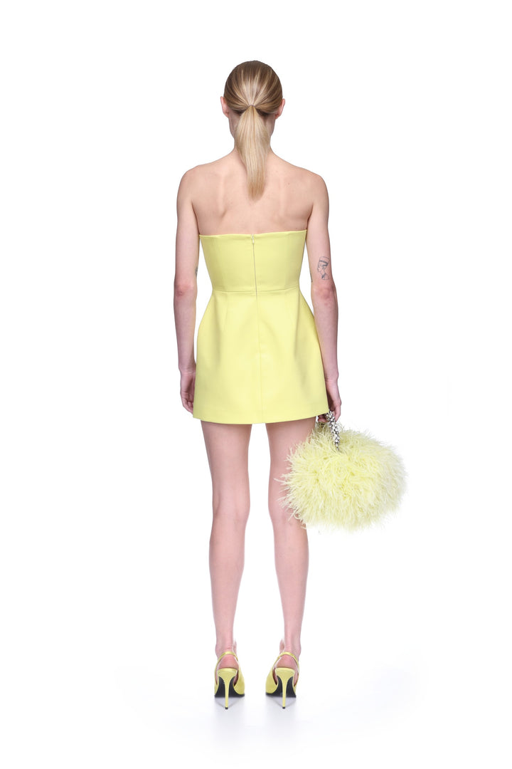 CRYSTAL SWALLOW MINI DRESS