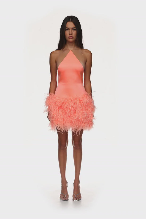 david koma women's natural tulle-trimmed satin balconette mini dress FEATHER TRIM AND Women's Postcards From Paradise Color::#29-Green David Komas mini dress top to wear with leggings