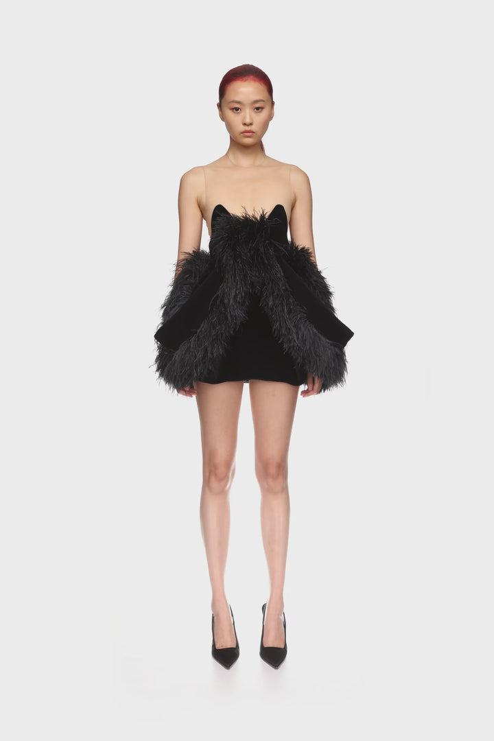 FOLD SKIRT AND FEATHER TRIM MINI DRESS